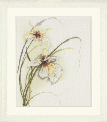 Borduurpakket Orchidee 34786, ., Nieuw, Ophalen of Verzenden, .