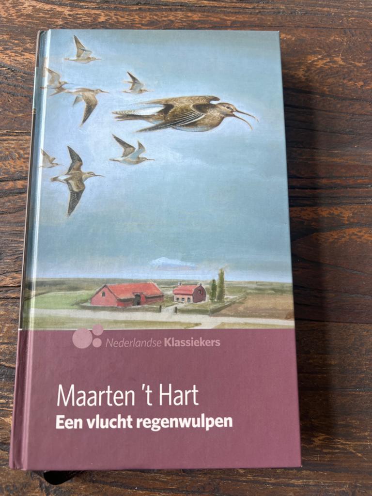 Maarten 't Hart - Een vlucht regenwulpen (Nederlandse Klassi, Ophalen of Verzenden, Zo goed als nieuw, Nederland
