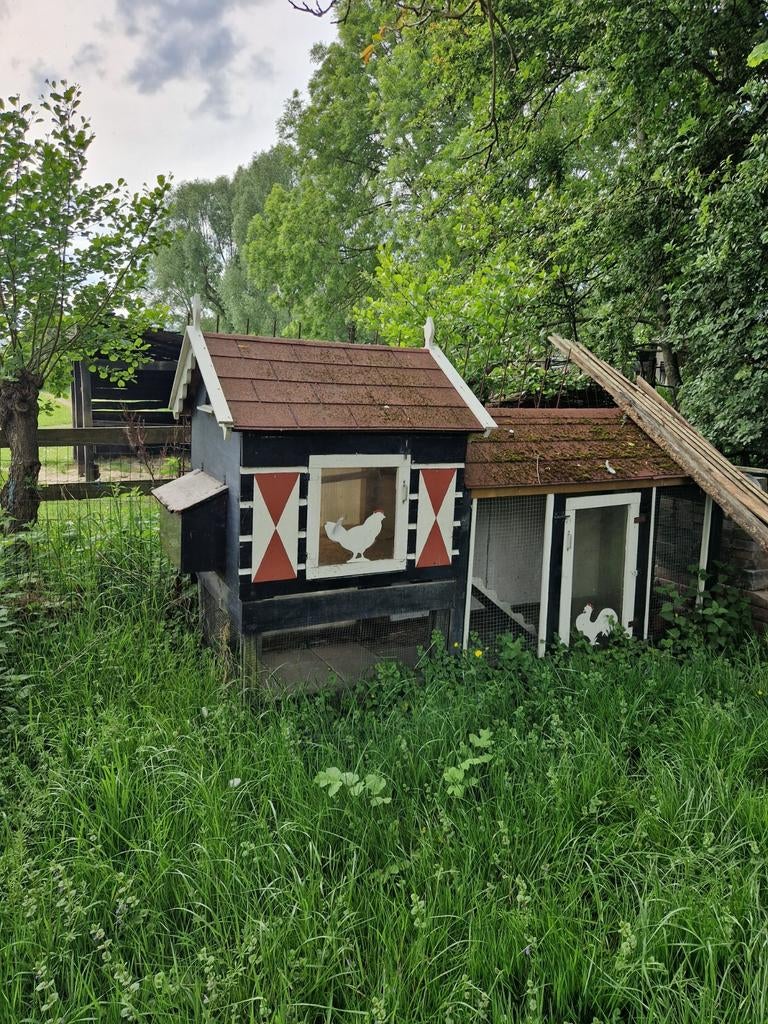 Kippenhok, Dieren en Toebehoren, Ophalen, Kippenhok of Kippenren