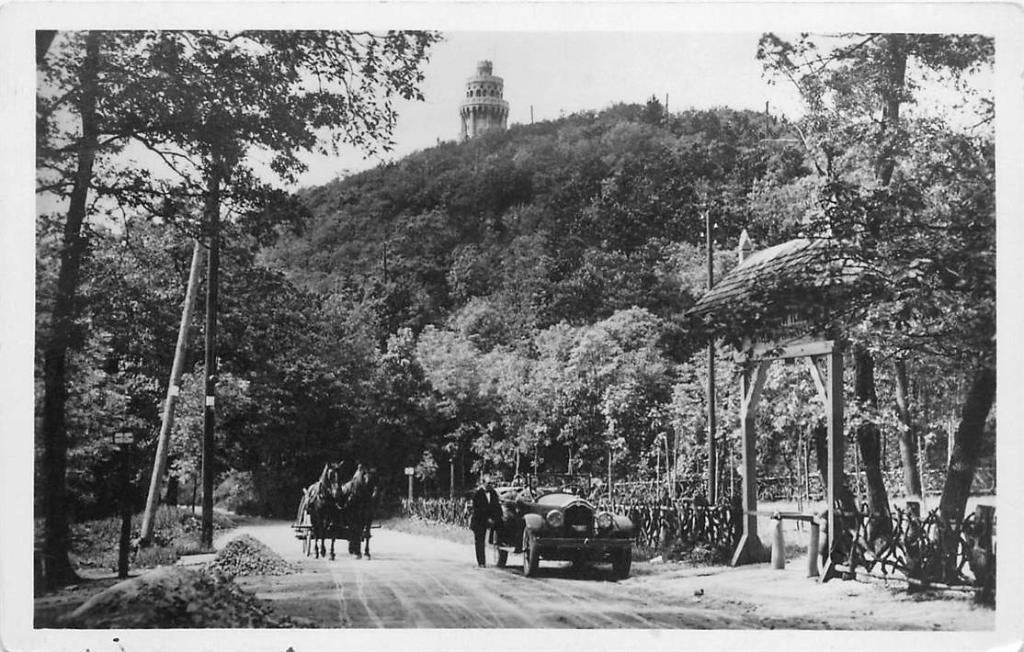 381-172-007 Budapest Mount John, Verzamelen, Ansichtkaarten | Buitenland, Verzenden, Voor 1920, Overig Europa