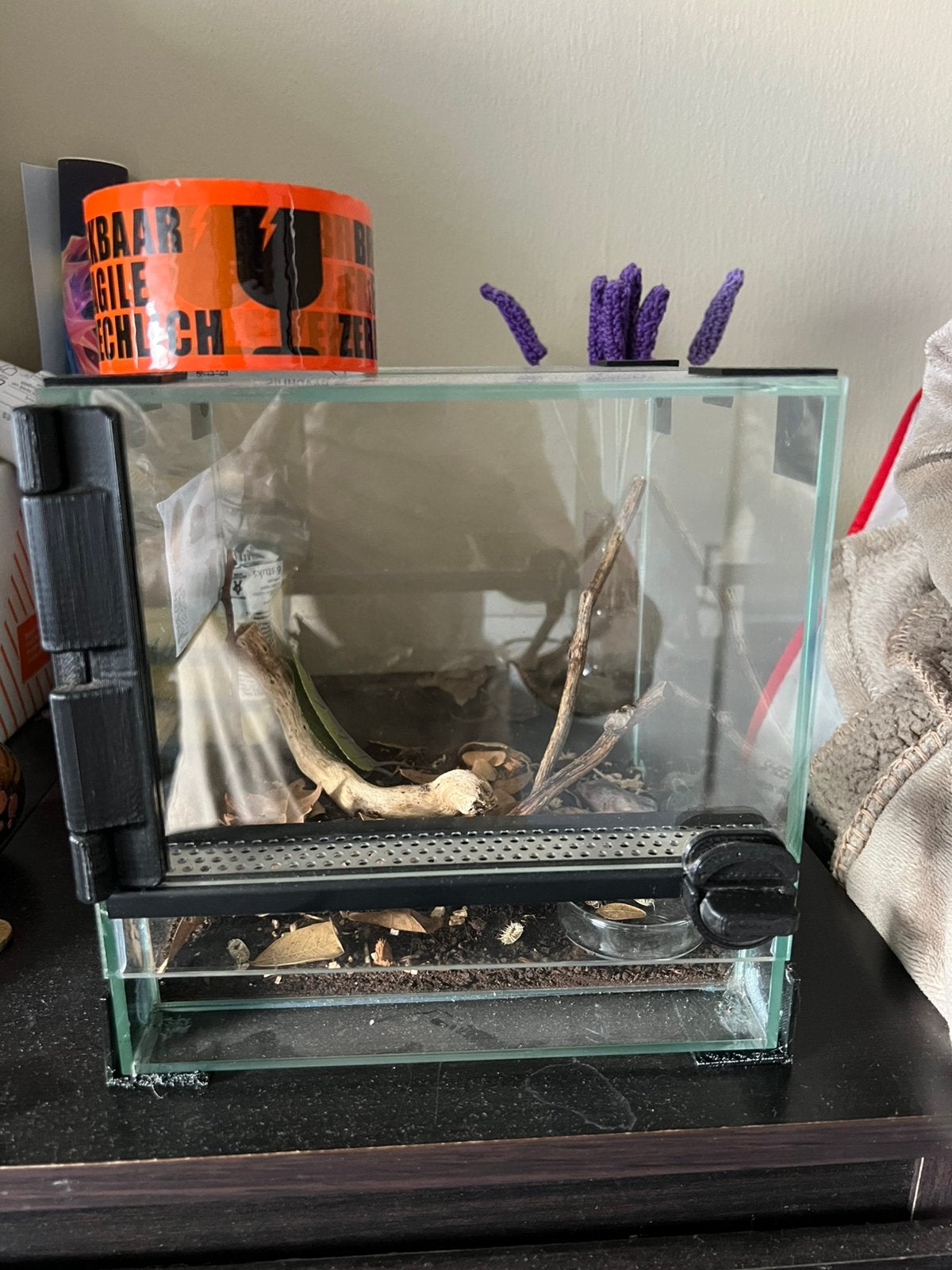 mini terrarium, Overige soorten