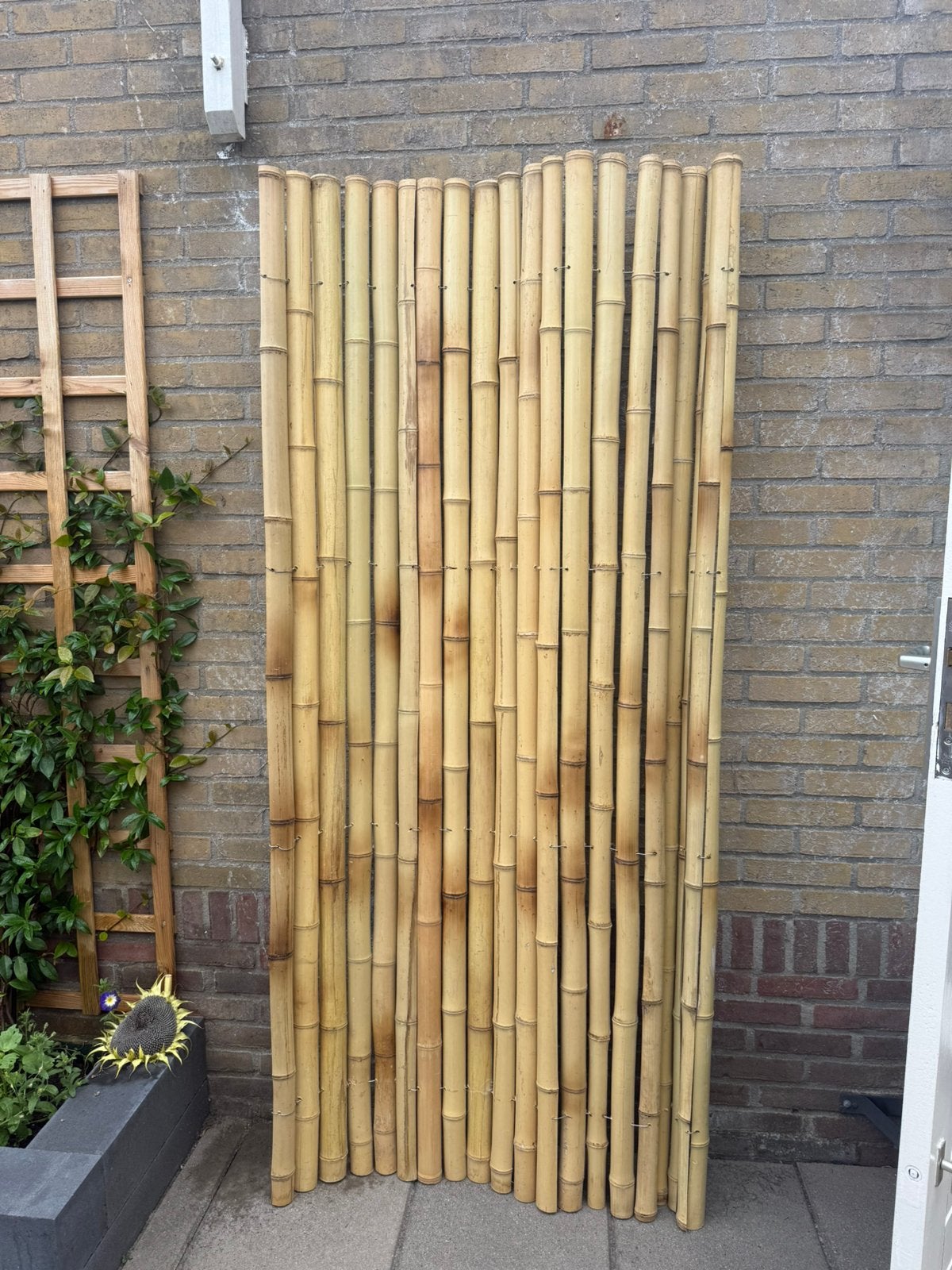 Reststuk bamboe schutting, Tuin en Terras, Ophalen, 1 tot 2 meter, Minder dan 3 meter, Nieuw