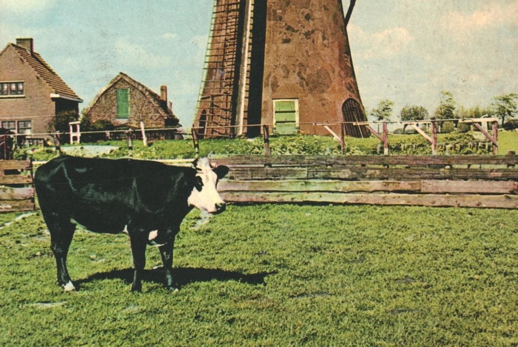 940952	Warmond	ZH Molen	niet gelopen, Verzamelen, Ophalen of Verzenden, 1960 tot 1980, Gelopen, Zuid-Holland