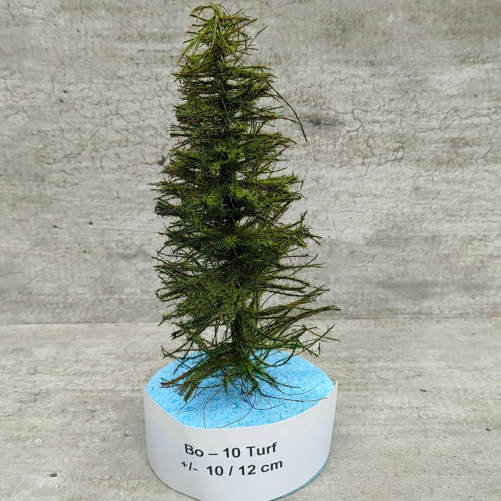 modeltrein Bo – 10 BOMEN 10 / 12 cm Turf, Overige merken, Gelijkstroom, Natuur, Nieuw