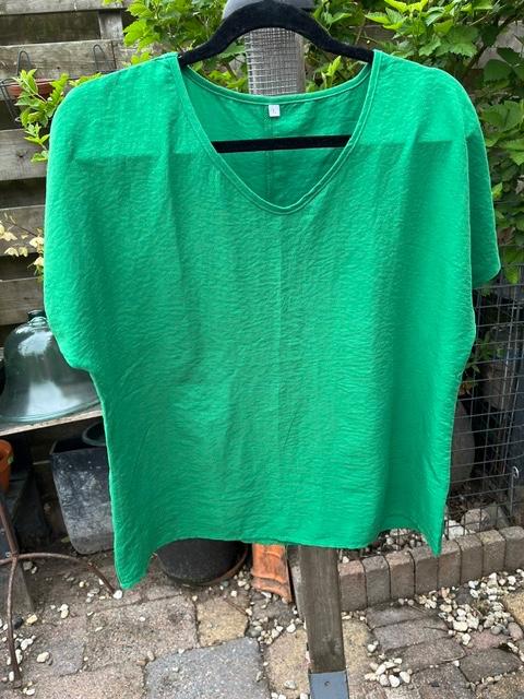 Blouse appelgroen maat 40, Kleding | Dames, Ophalen of Verzenden, Zo goed als nieuw, Maat 38/40 (M), Groen
