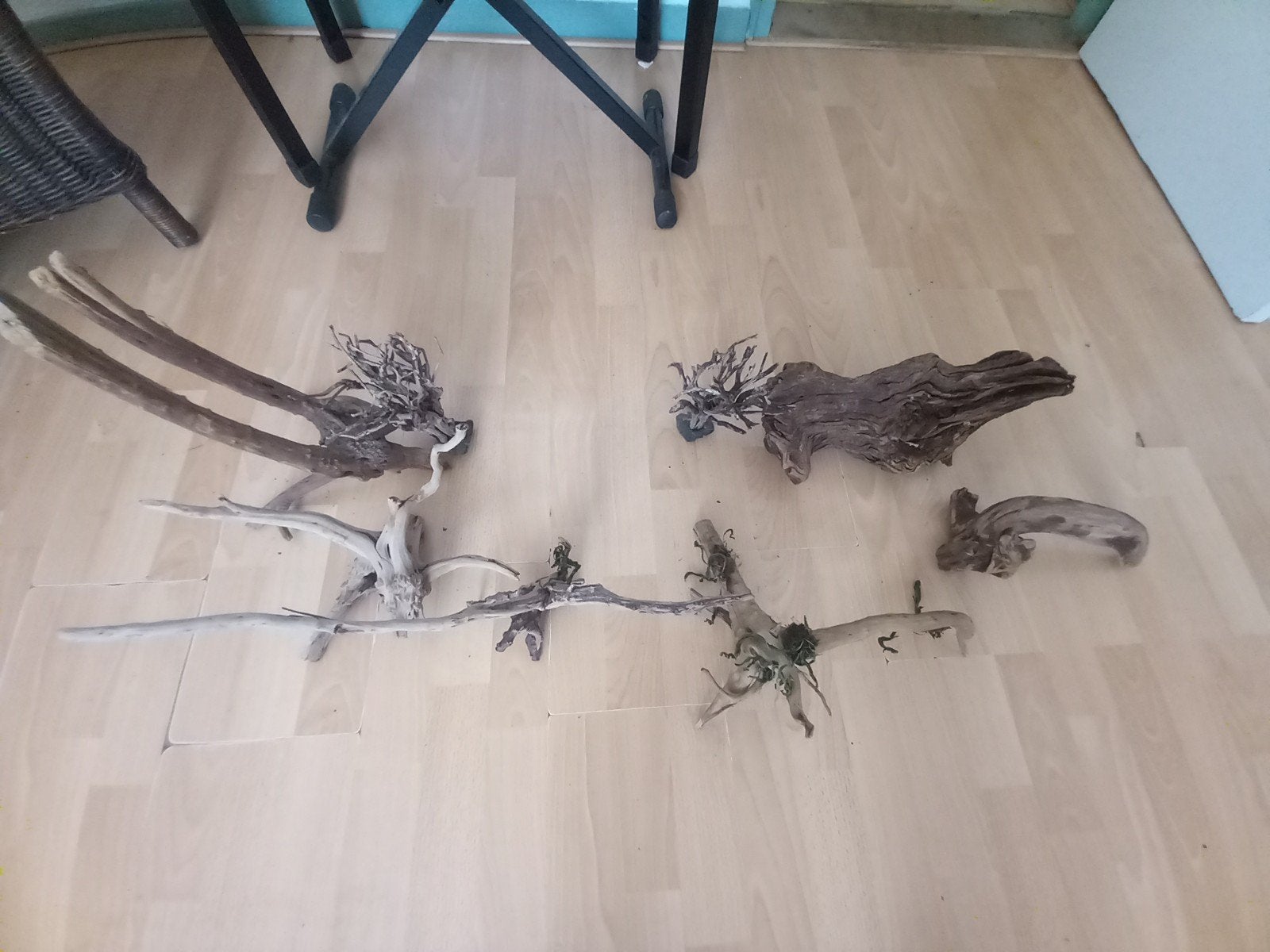 Spider wood en meer, Ophalen of Verzenden, Beeldje of Figuurtje