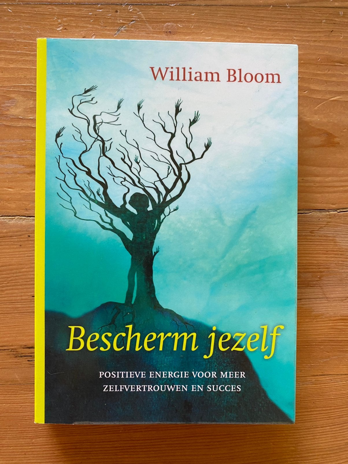 Bescherm jezelf - William Bloom, Ophalen of Verzenden, Zo goed als nieuw, Overige onderwerpen, Instructieboek