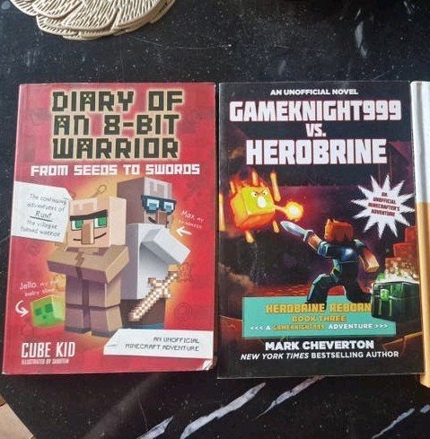 Minecraft boeken 2 stuks, Ophalen of Verzenden, Zo goed als nieuw