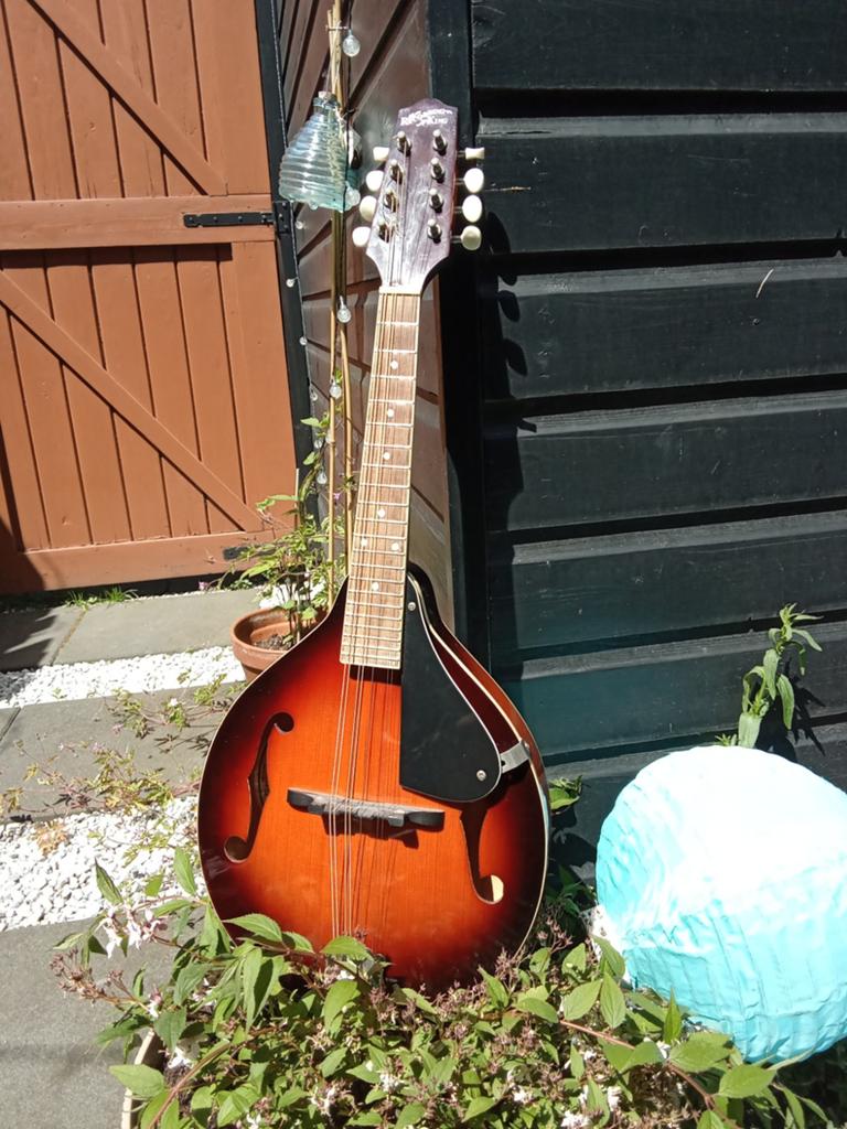 Recording King Mandoline A stijl, f hole. Met Stag gigbag, Muziek en Instrumenten, Snaarinstrumenten | Mandolines, Ophalen, Gebruikt