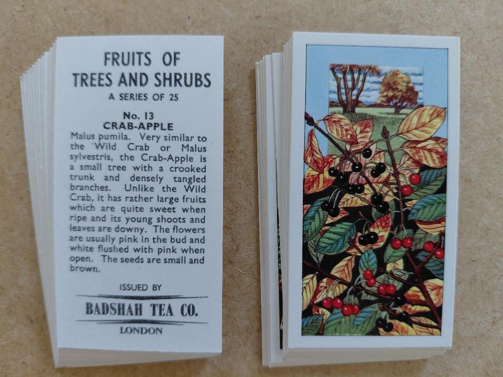 Fruits of Trees and Shrubs complete set 25 tea cards bomen, Ophalen, Gebruikt