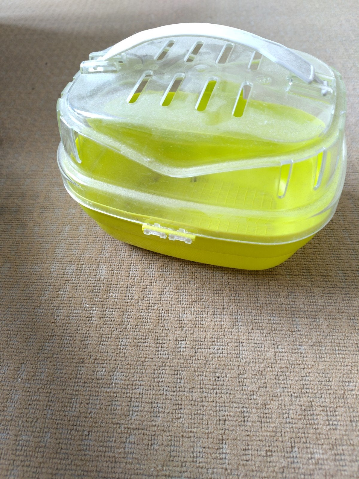 Reiskoffer voor hamster of muis, Dieren en Toebehoren, Ophalen, Transportkoffer of -box