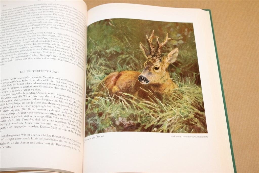 Das Rehwild — Naturgeschichte, Hege und Jagd Vintage 1960, Ophalen of Verzenden, Gelezen