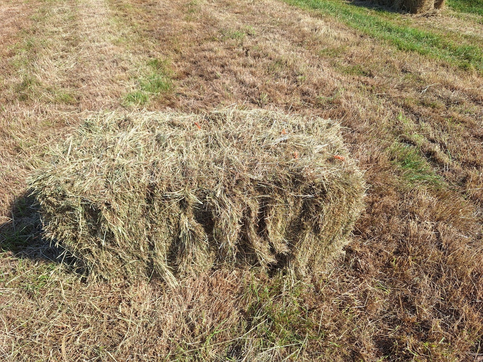 Hooibalen kruidenrijk grasland, Dieren en Toebehoren, Dierenvoeding, Ophalen, Vee