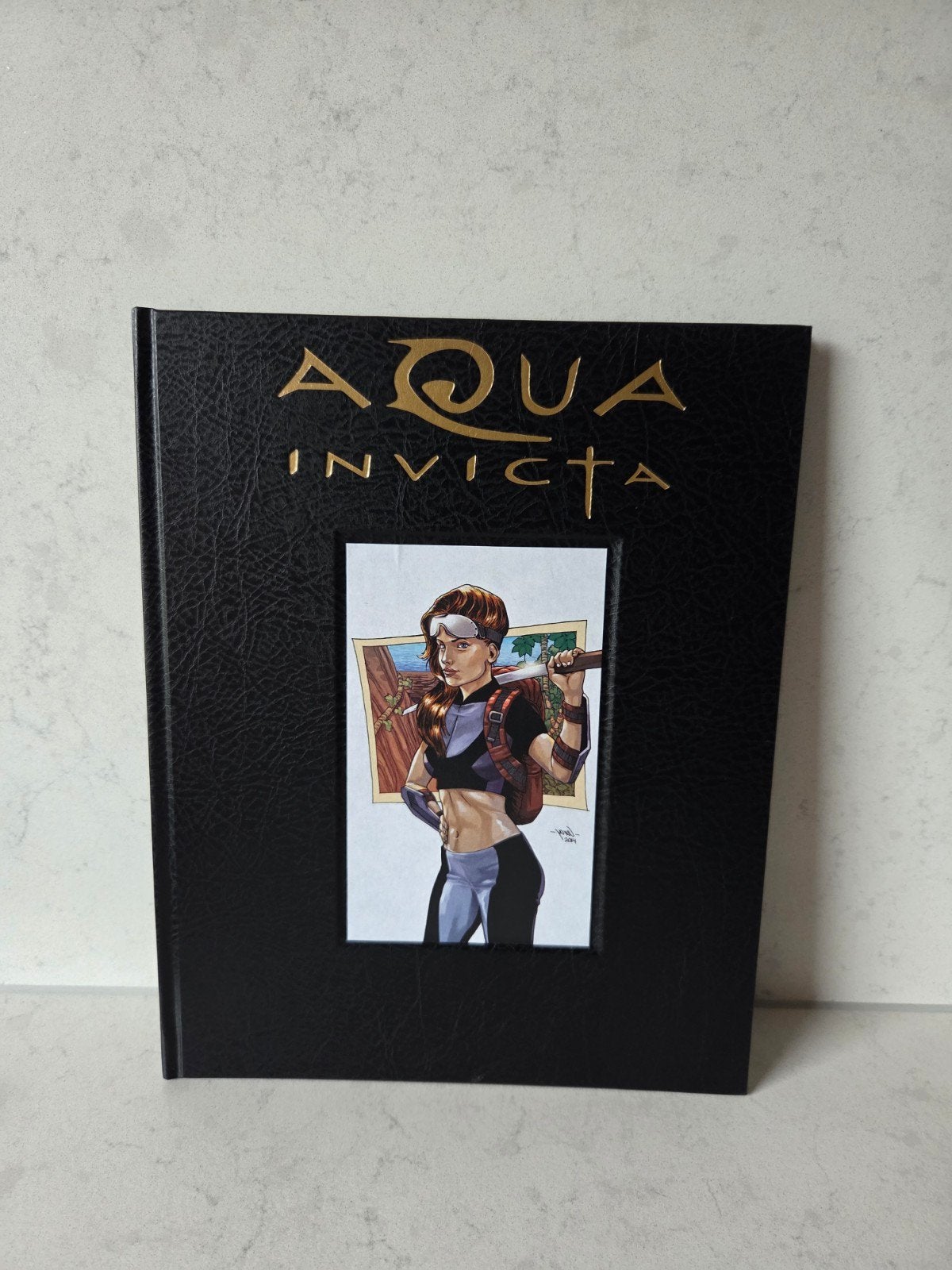 Aqua Invicta - Luxe hardcover oplage 25, Boeken, Stripboeken, Meerdere stripboeken, Ophalen of Verzenden, Zo goed als nieuw