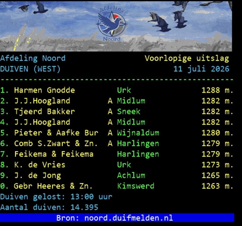 2 late jongen, Dieren en Toebehoren, Vogels | Duiven, Meerdere dieren, Postduif