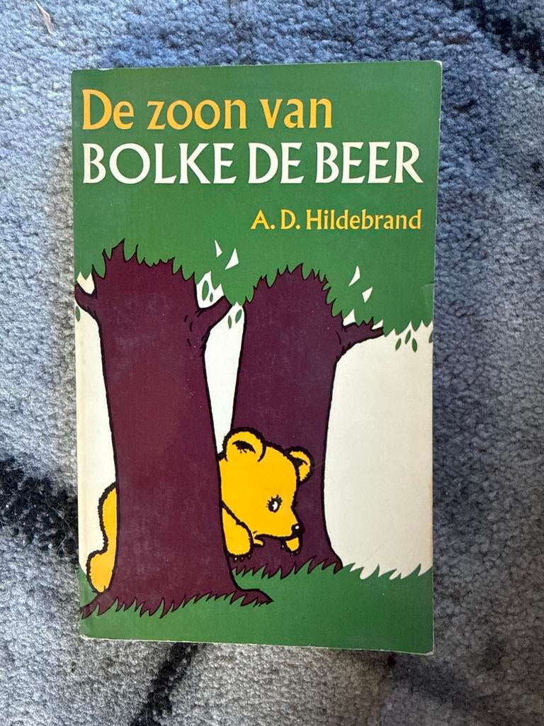 De Zoon van Bolke de Beer - A.D. Hildebrand (1973), Boeken, Ophalen of Verzenden, Nieuw, Fictie algemeen