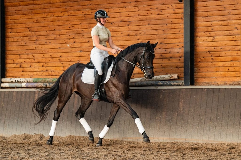 Talentvolle dressuurmerrie met potentie!, Merrie, Dressuurpaard, 3 tot 6 jaar, 160 tot 165 cm