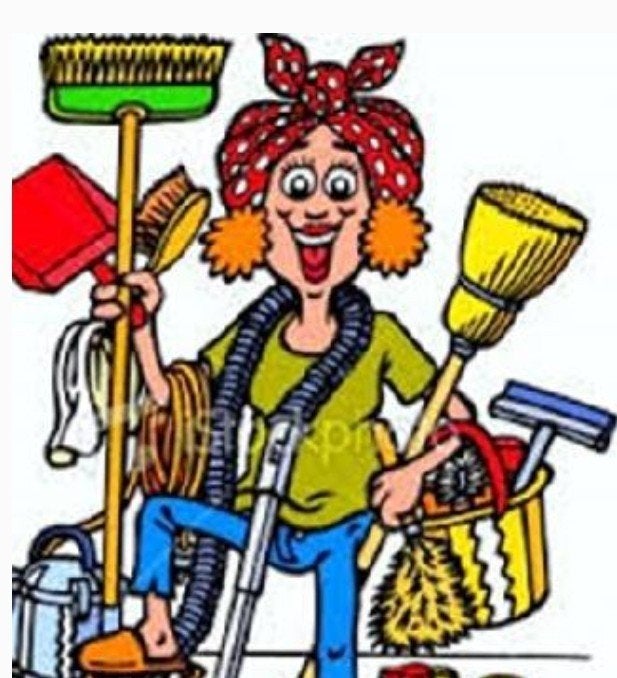 Schoonmaakster gezocht! 3u pw, €20, Overige niveaus, Overige vormen