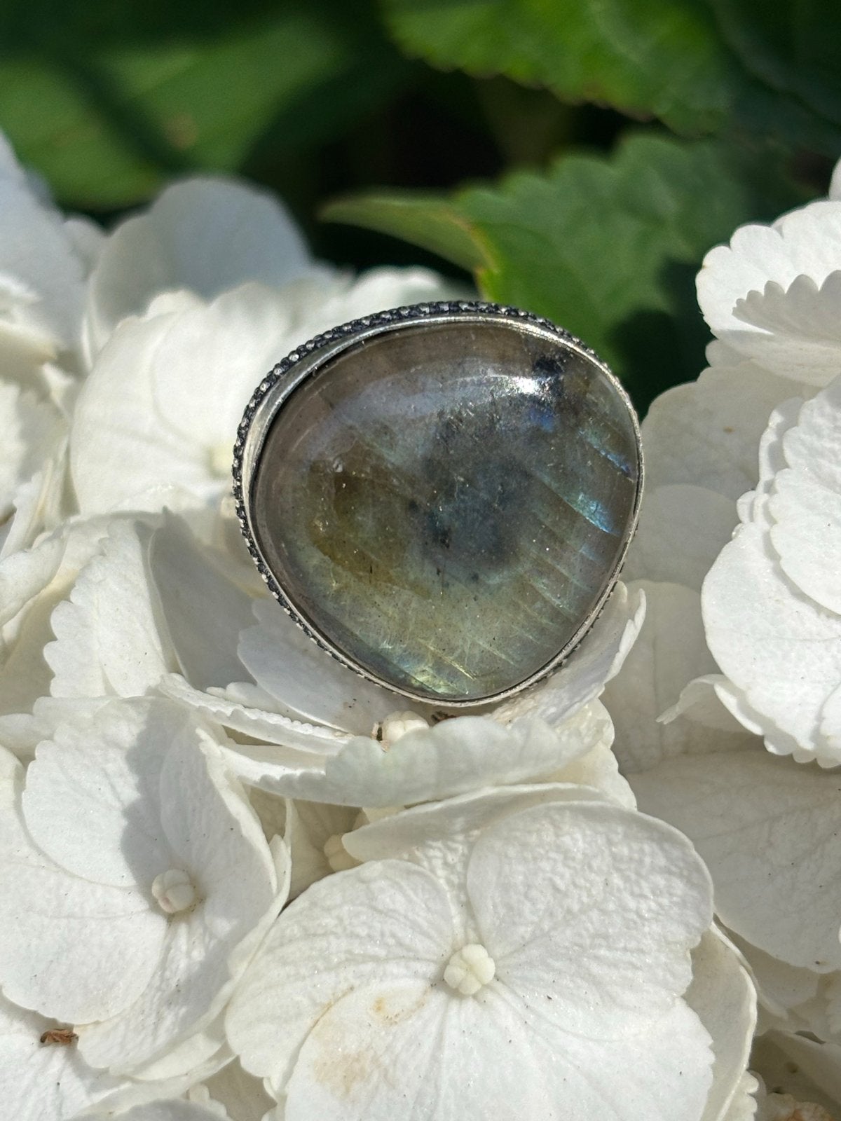 Prachtige Labradoriet Ring Maat 20, Sieraden, Tassen en Uiterlijk, Ringen, 20 of groter, Blauw, Nieuw, Ophalen of Verzenden