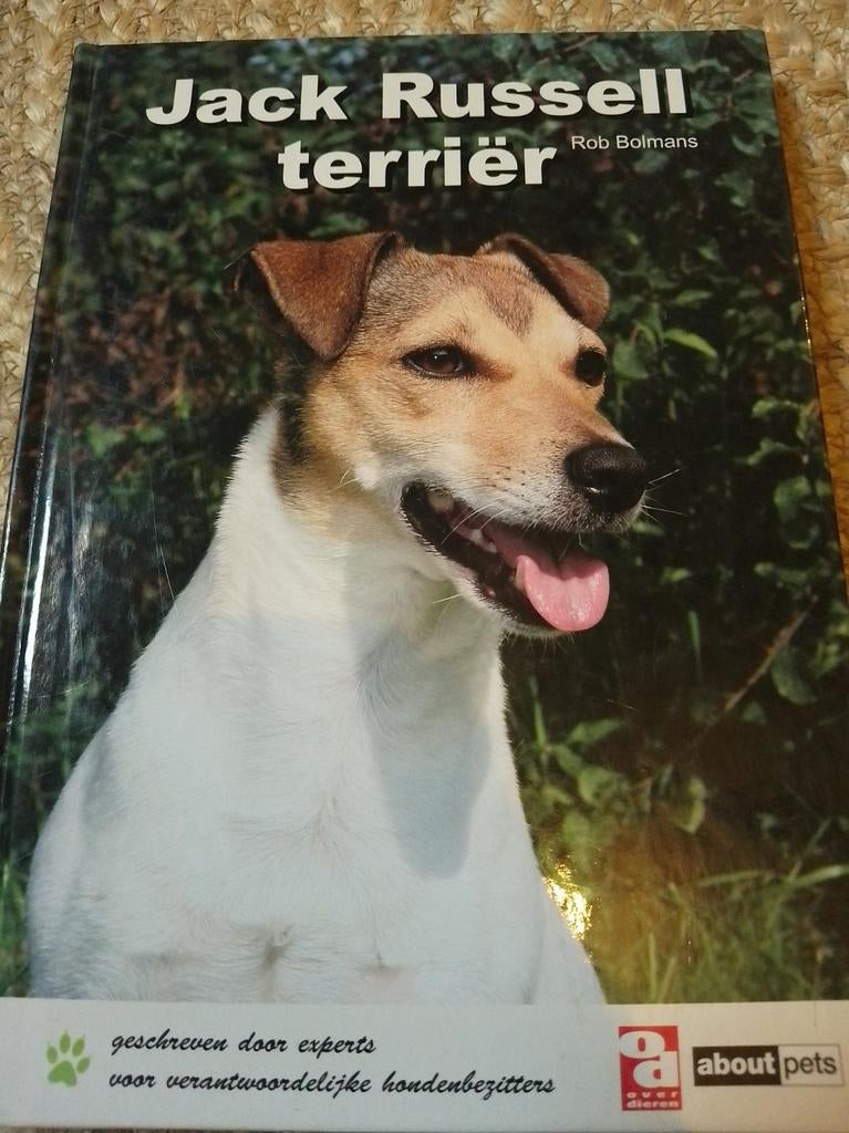 Jack Russell Terriër boek, Ophalen of Verzenden
