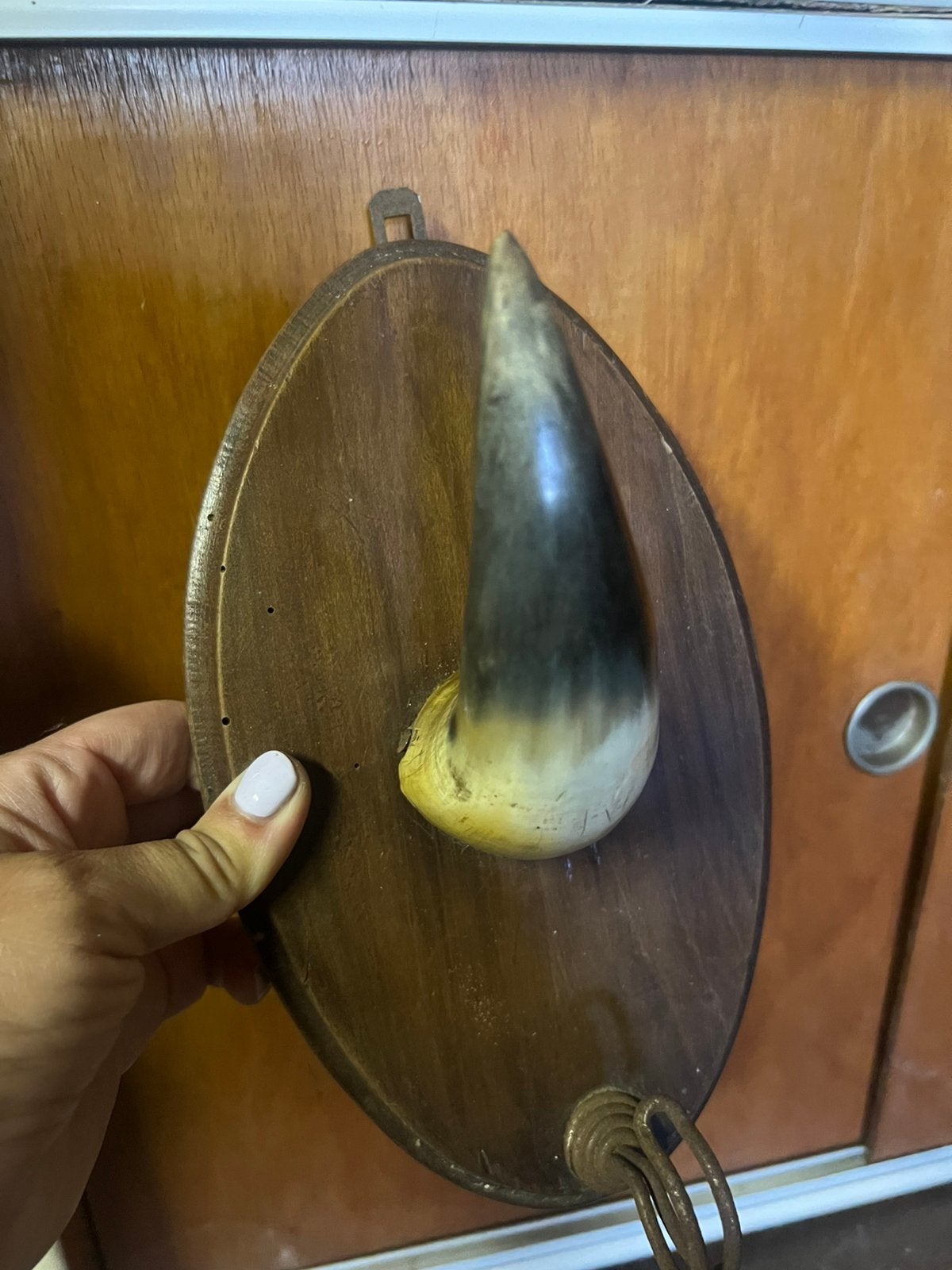 Kapstok koeienhoorn vintage, Ophalen, Huis en Inrichting