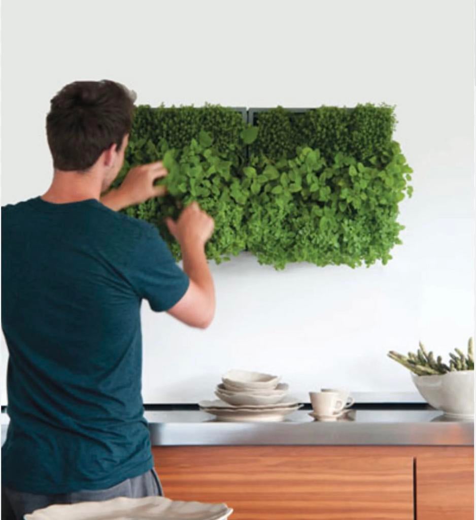 Karoo Groene Wand Plantenbak 40 x 40 x 14cm, Tuin en Terras, Bloembakken en Plantenbakken, Ophalen, Kunststof, Gebruikt, Minder dan 30 cm
