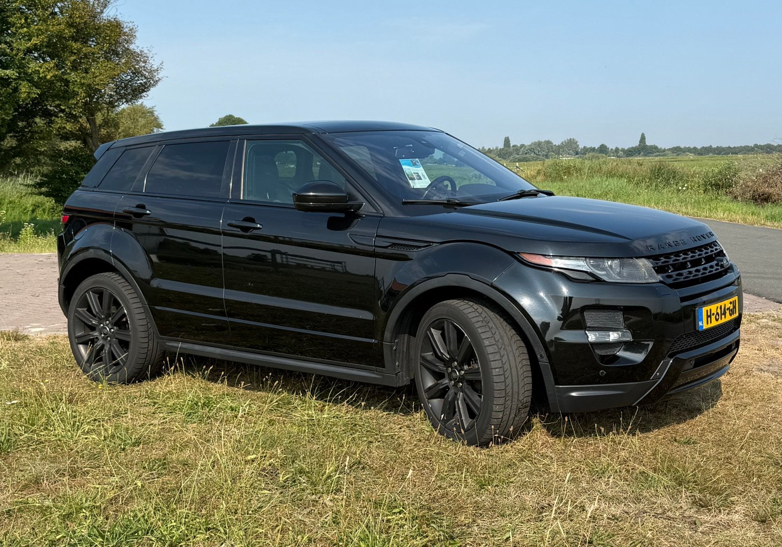 Land Rover Range Rover Evoque  2.0 SI 4WD 2014 Zwart, Auto's, Zwart, Zwart, Leder, Vierwielaandrijving