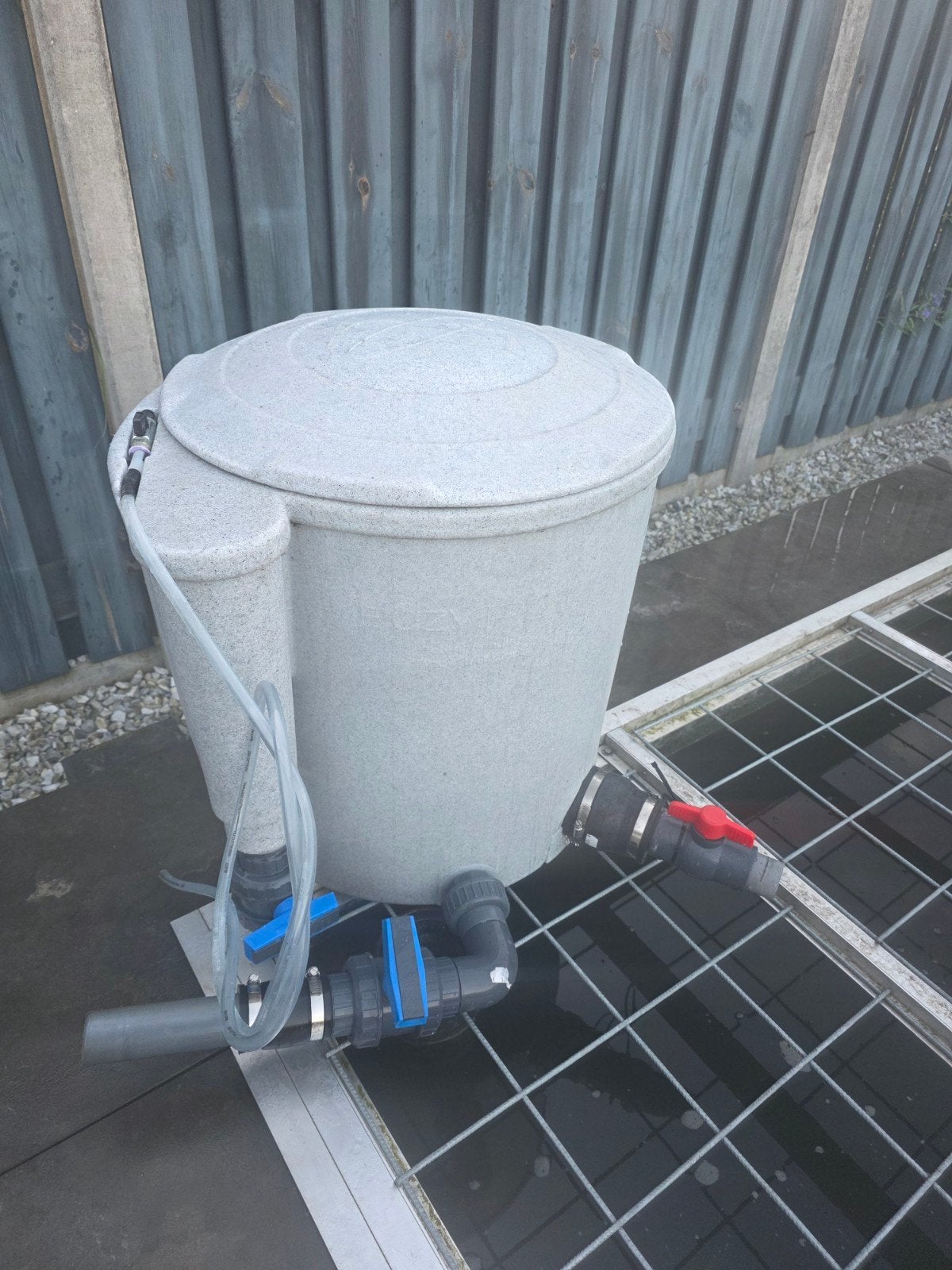 nexus eazy pod filter, Karper of Koi