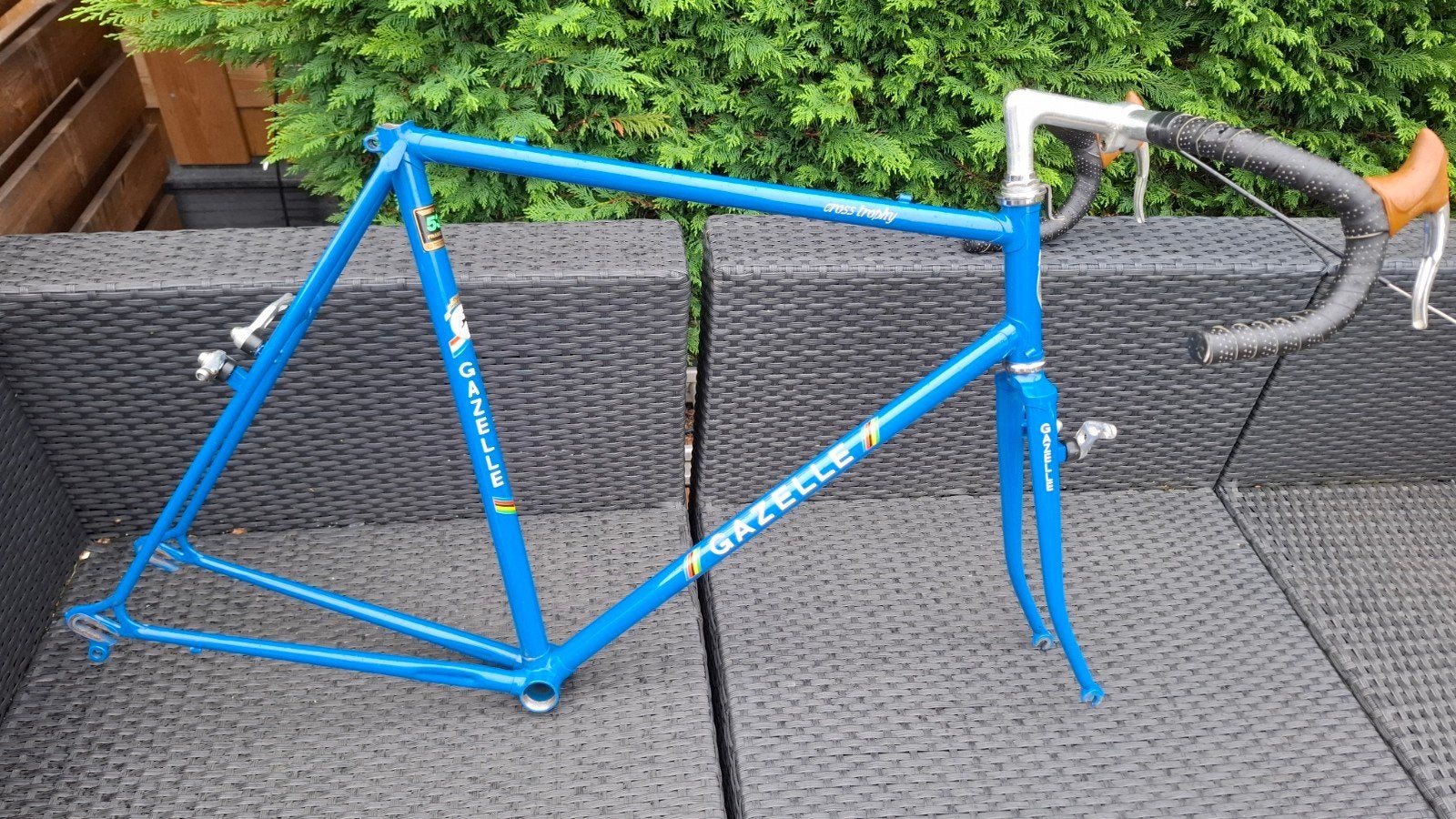 Gazelle Cross Trophy Cyclocross, Ophalen, 28 inch, Gebruikt, 57 tot 61 cm