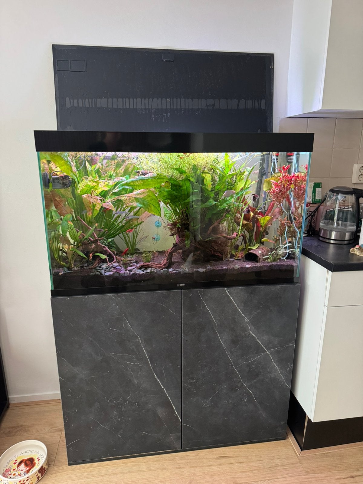 Ciano Aquarium met alles erbij, helemaal compleet!, Ophalen, Overige typen, Overige merken, Zo goed als nieuw