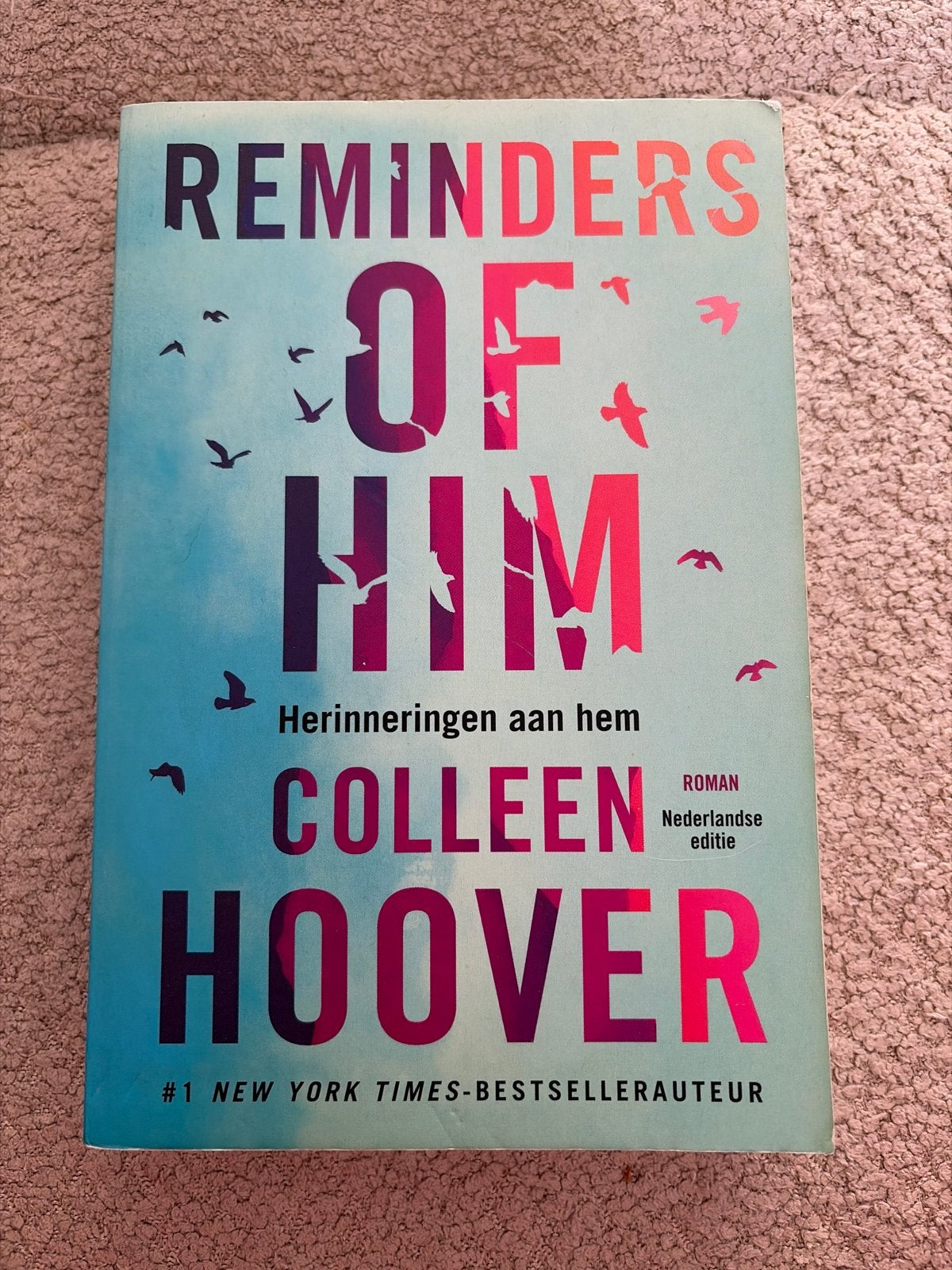 Reminders of Him - Colleen Hoover (Nederlandse editie), Boeken, Romans, Ophalen of Verzenden, Zo goed als nieuw, Nederland