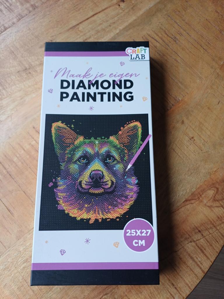 2x Diamond painting, Ophalen of Verzenden, Nieuw, Meerkleurig, Knutselwerk