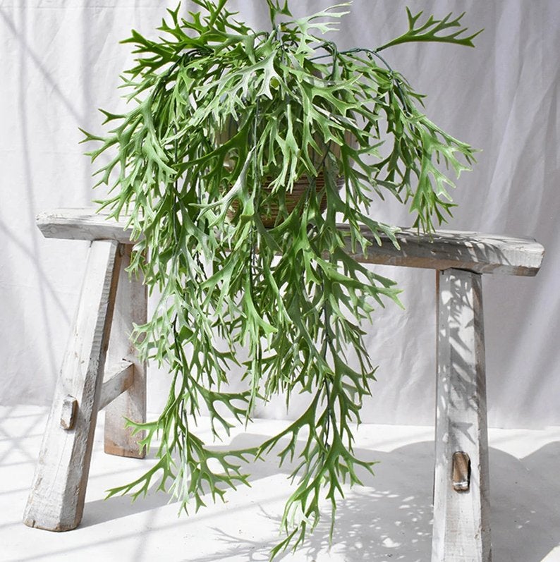 Varen Kunstplant / Hang Plant Hangplant Kunst Nep Sier, Verzenden, Nieuw, Kunstplant