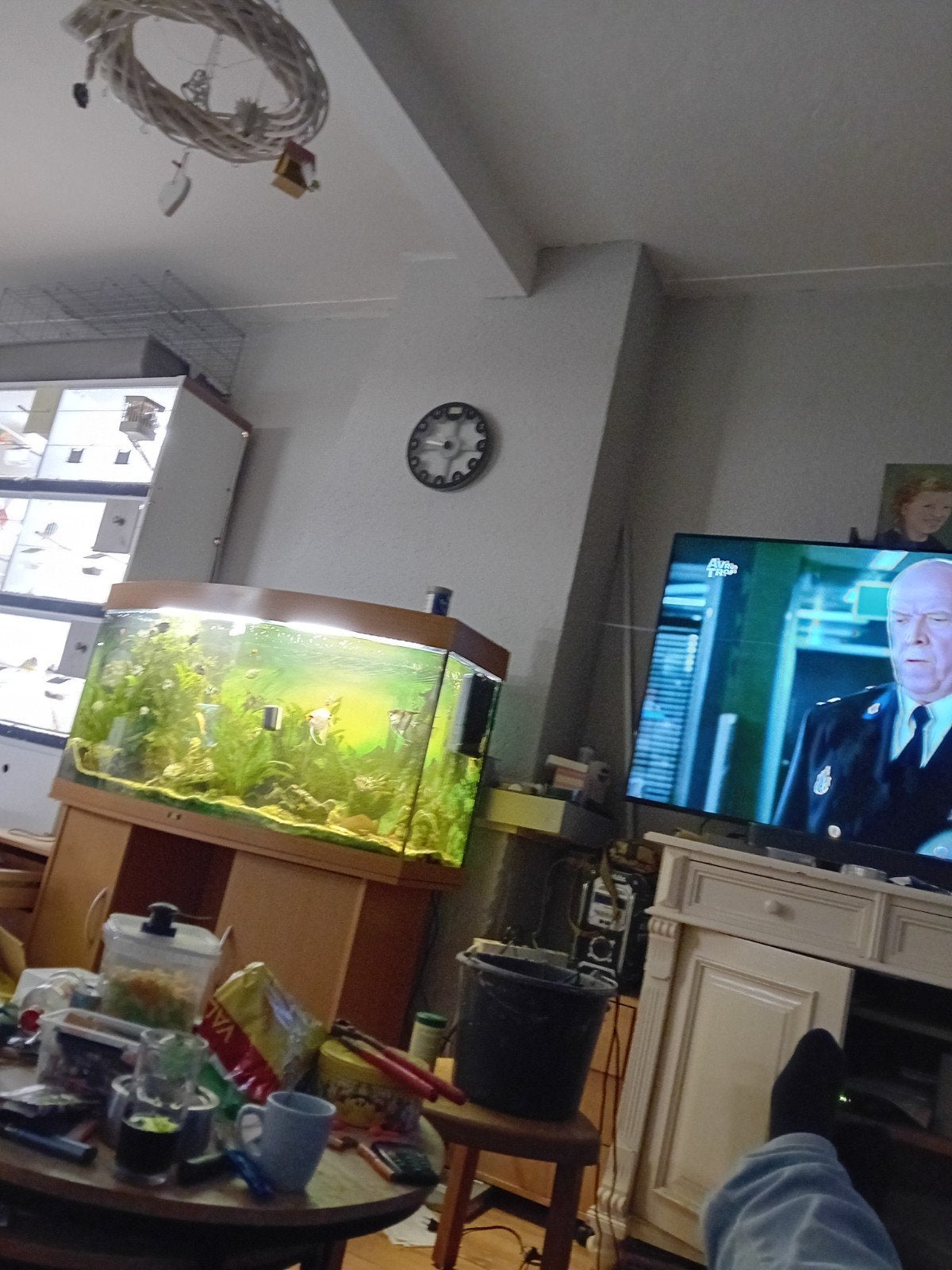 Tekoop compete aquarium Met onder kast en vissen., Ophalen, Zo goed als nieuw, Gevuld zoetwateraquarium