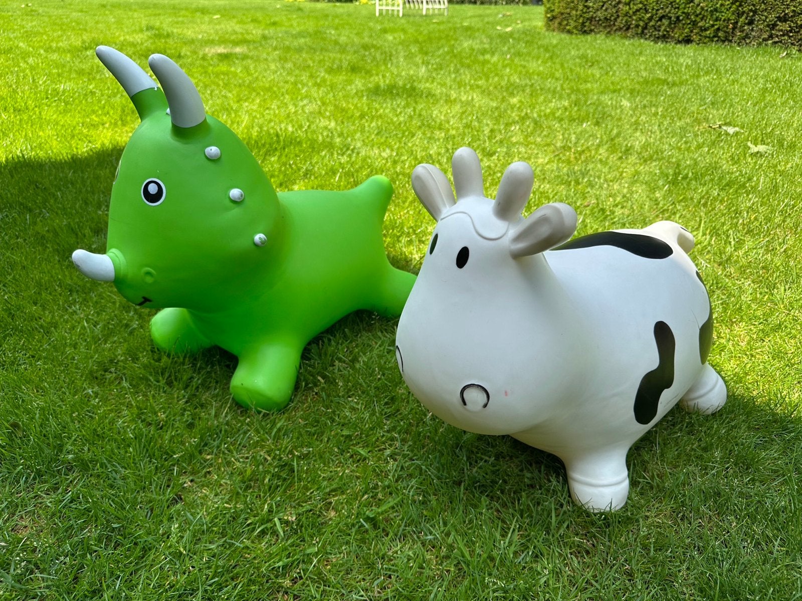 Opblaasbare Dieren: Dino en Koe Springkussen, Ophalen, Gebruikt