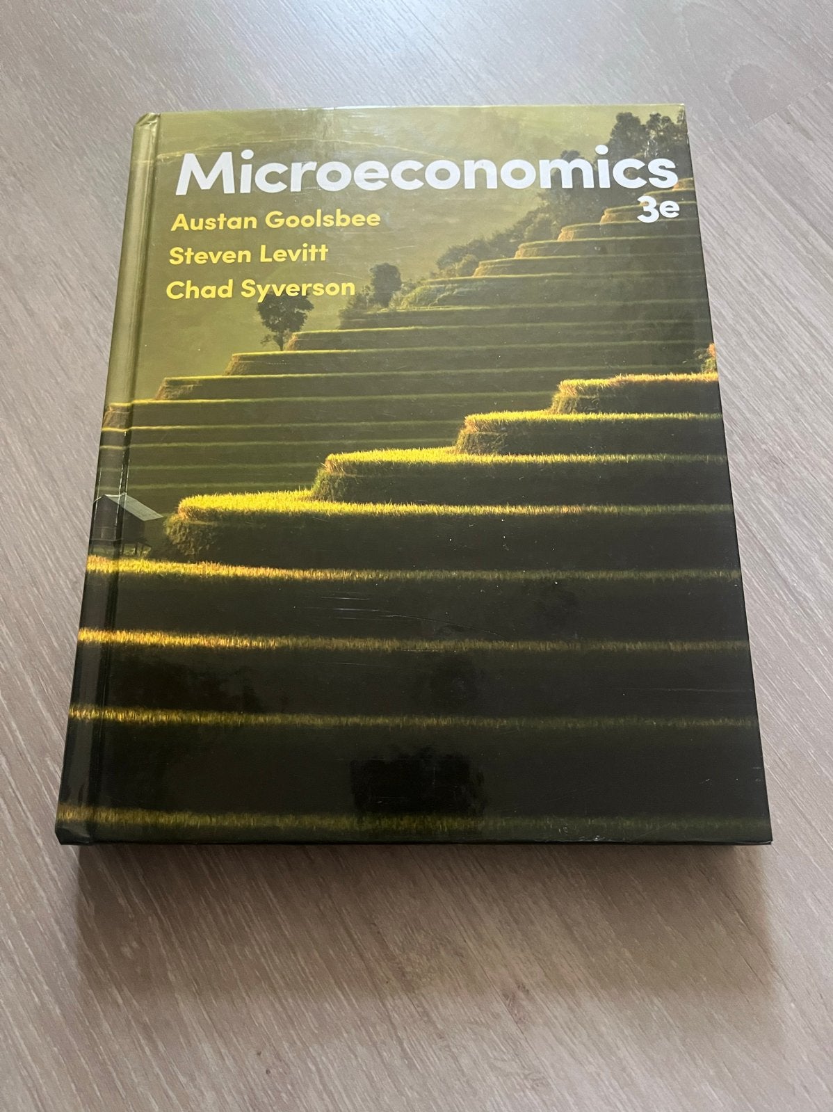 Microeconomics 3e - Austan Goolsbee, Steven Levitt, Ophalen of Verzenden, Gamma, Zo goed als nieuw, WO