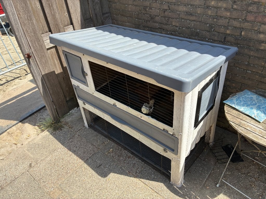 Cavia buiten hok / verblijf, Ophalen, Hamster, 90 cm of meer, Hok