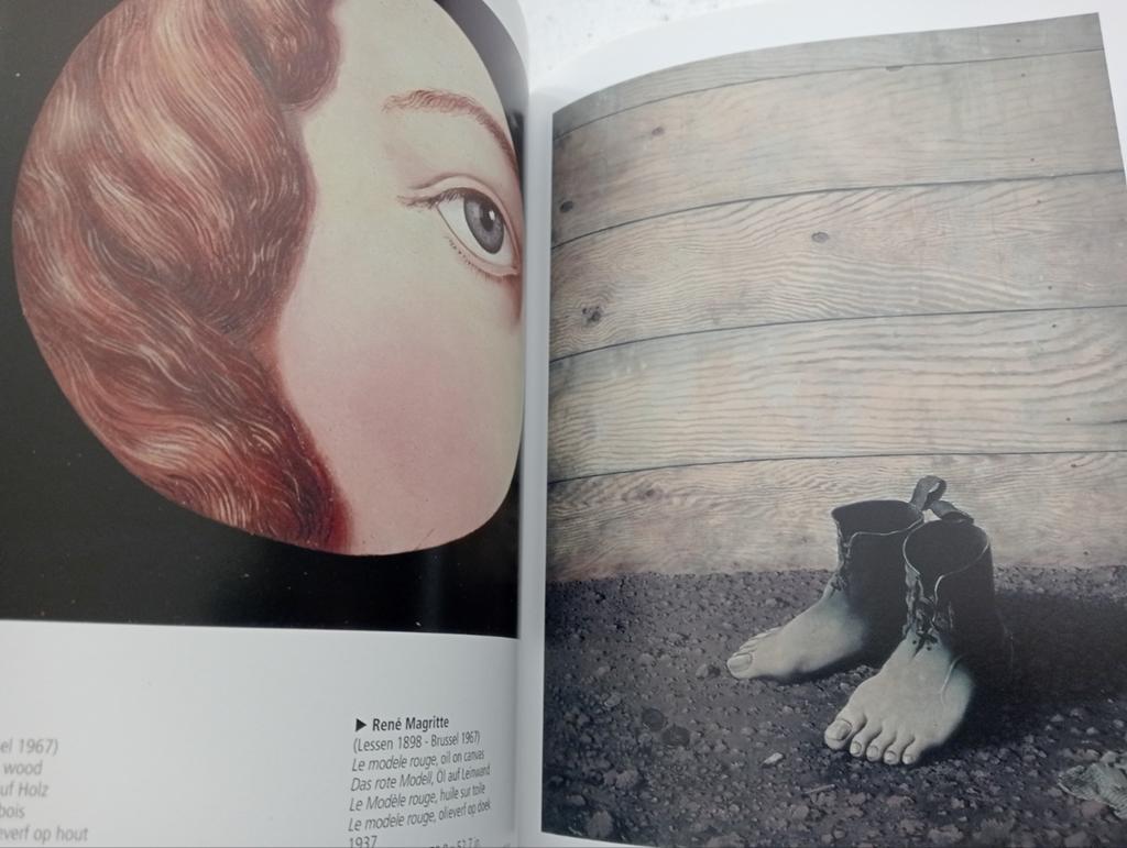 Visual Encyclopedia of Art - Surrealisme, Ophalen of Verzenden, Zo goed als nieuw, Overige onderwerpen, Diverse Auteurs