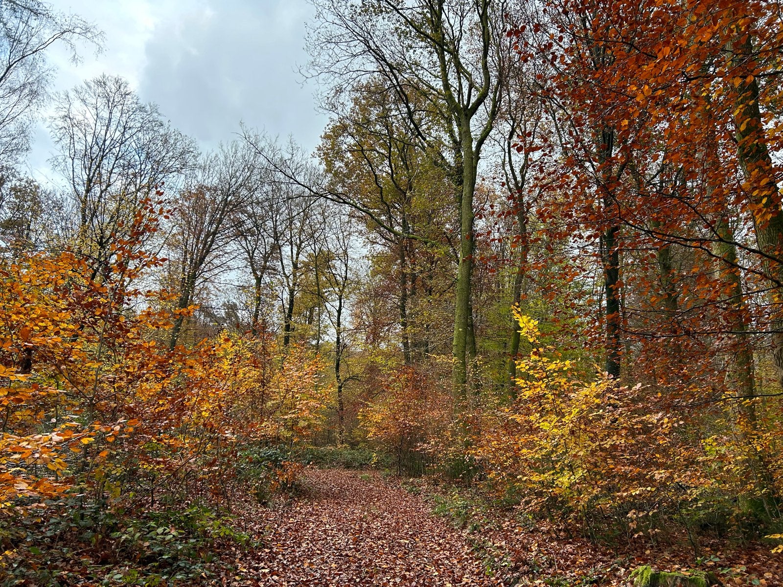 Retreat 25-30 oktober 2026 focus op stress reductie, Vakantie, Vakantie | Creatief
