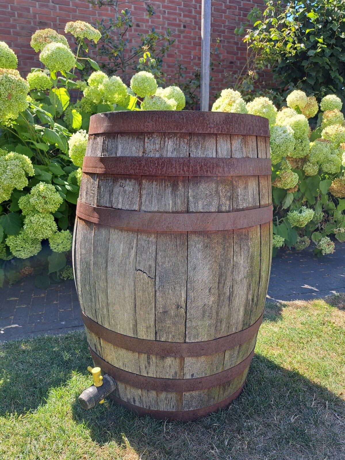 Regenton van houten wijnvat met kraantje, Tuin en Terras, Regentonnen, Gebruikt, Met kraantje, 150 liter of meer, Ophalen of Verzenden