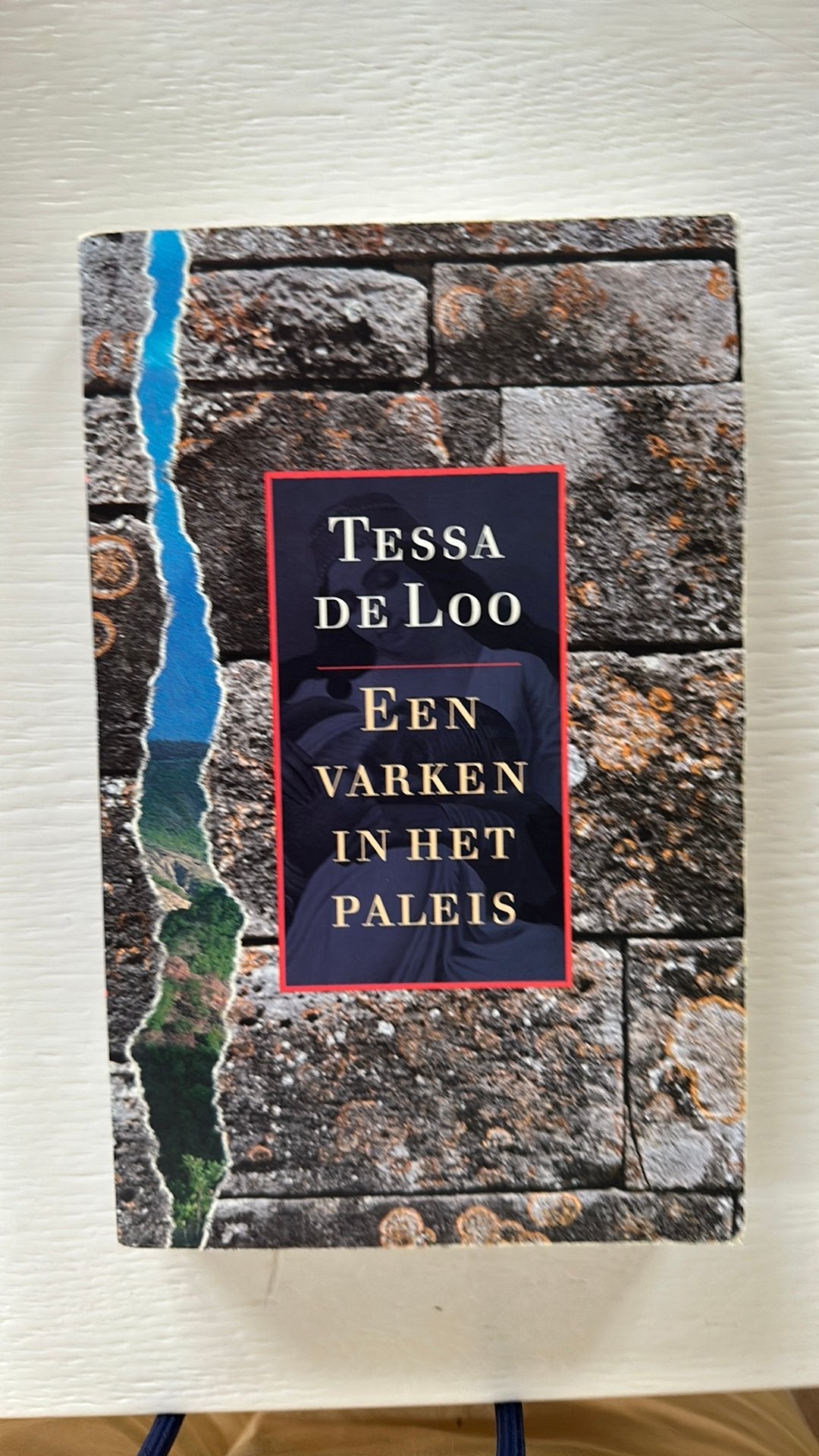 T. de Loo - Een varken in het paleis, Ophalen of Verzenden, Zo goed als nieuw, T. de Loo