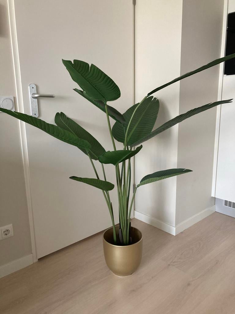 Grote kunstplant Strelitzia met of zonder pot, Ophalen, Overige soorten, 100 tot 150 cm