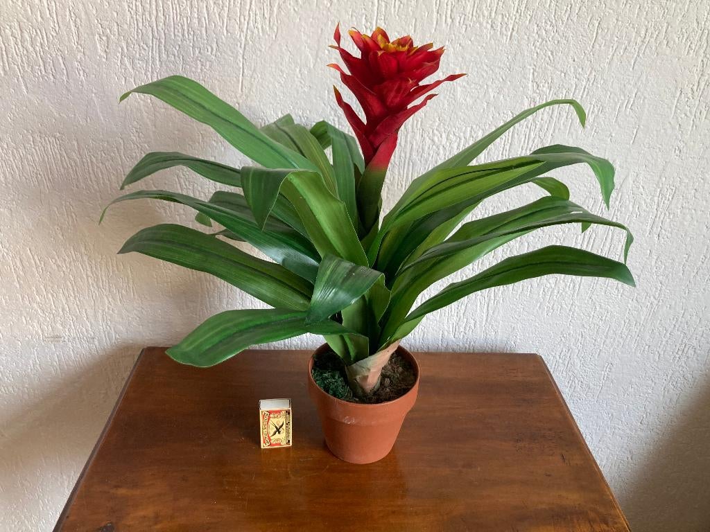 Bromelia Guzmania kokerplant groen rood levensecht 47 cm, Binnen, Kunstplant, Ophalen of Verzenden, Zo goed als nieuw