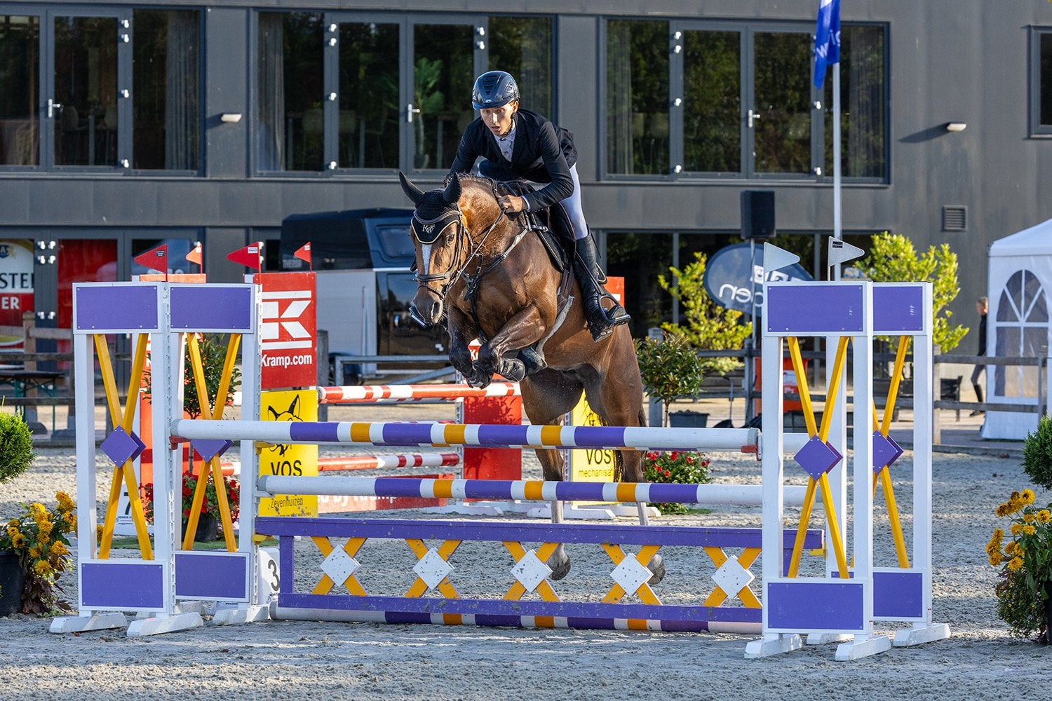Super mooie 5 jarige merrie van Gin Flip De Muze Z, Merrie, Springpaard, 3 tot 6 jaar, 160 tot 165 cm
