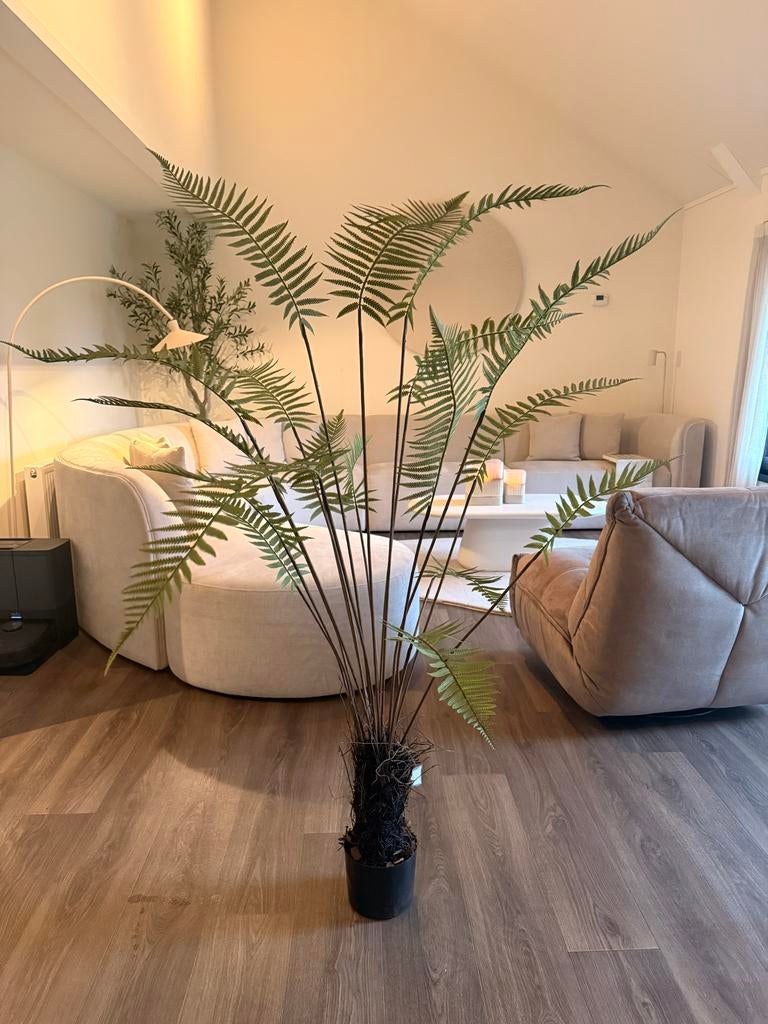 Natuurlijke Kunstplant - Zo goed als nieuw, Ophalen, Binnen, Groen, Kunstplant