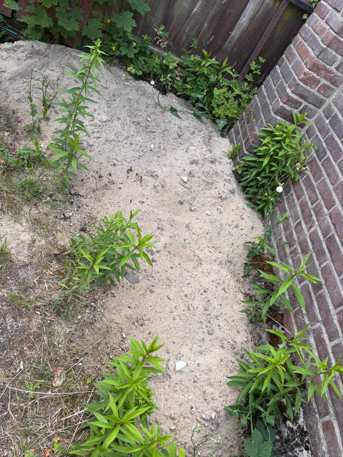 Gratis witzand, Tuin en Terras, Zand, Ophalen, Zo goed als nieuw