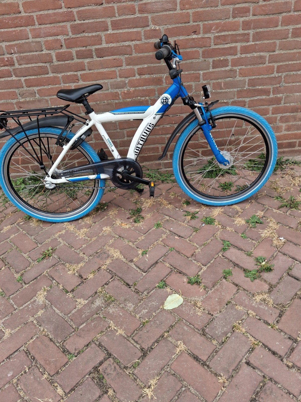 Batavus snake  24 inch jongensfiets met 3 versnellingen, Fietsen en Brommers, Fietsen | Jongens, Ophalen, Terugtraprem, 24 inch