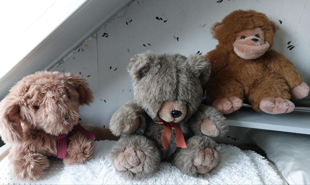Leuke knuffels, Kinderen en Baby's, Speelgoed | Knuffels en Pluche, Ophalen, Zo goed als nieuw, Overige typen