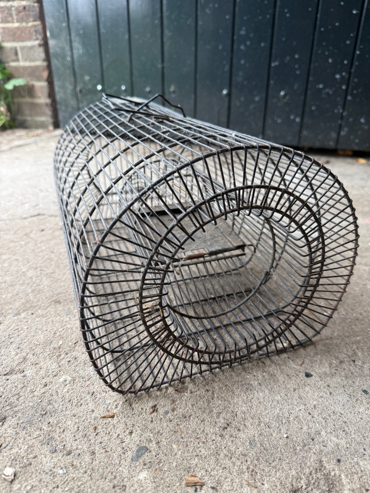 Ratten- en muizenvangkooi inloopval, Dieren en Toebehoren, Ophalen, Gebruikt