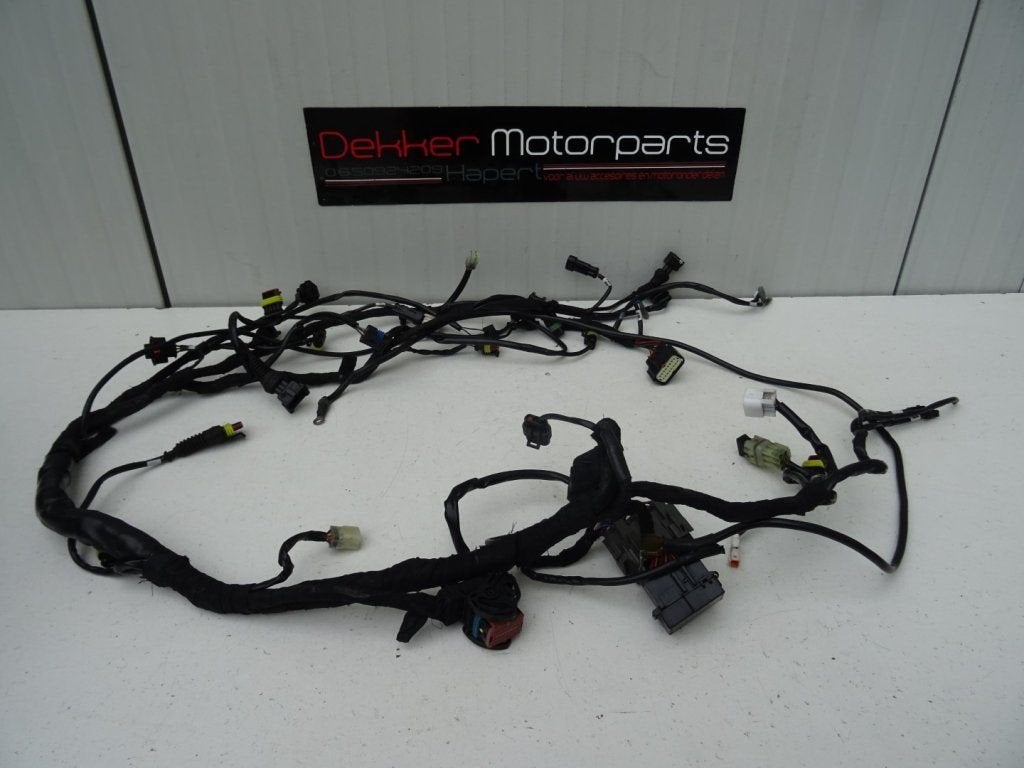 Kabelboom / Wire Harness Ducati Streetfighter 1098 / S 2009, Gebruikt, -, -, Ophalen of Verzenden